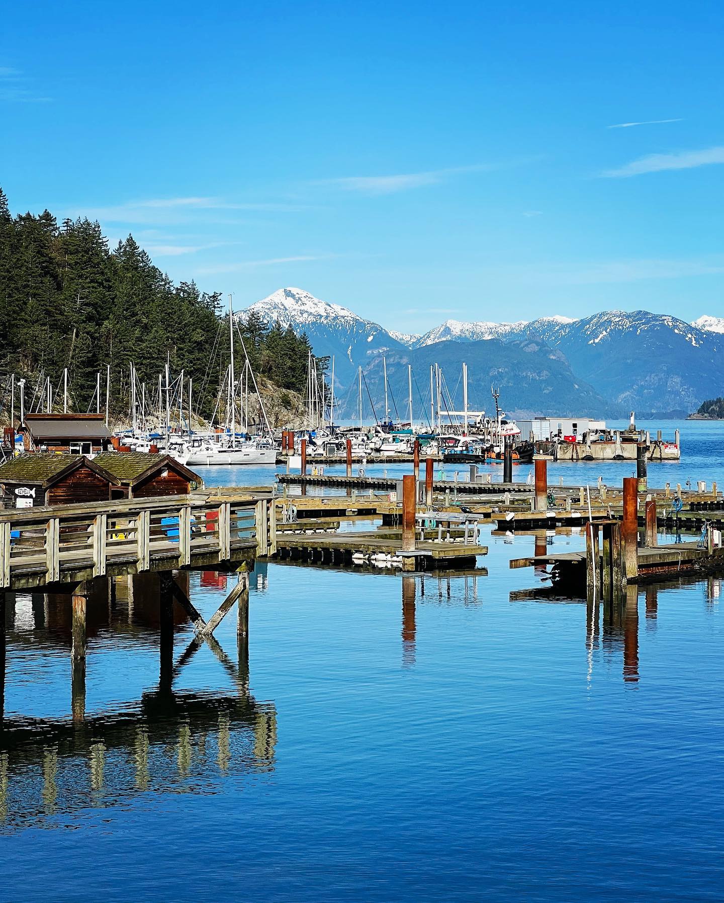 I’m so ready for blue skies! Although Spring has officially started, Vancouver hasn’t really showed much of it (yet). I guess they call it Raincouver for good reason.
.
.
#raincouver #bay #boats #views #snowymountains #bluesky #harbour #bowenisland #bccanada #canada #britishcolumbia #beautifuldestinations #coldday #explorenorthshore #beautifulplaces #travel #explore #boat #roadtrip #sailing #bcferries #reisfotografie #reizen #emigreren #reistypje