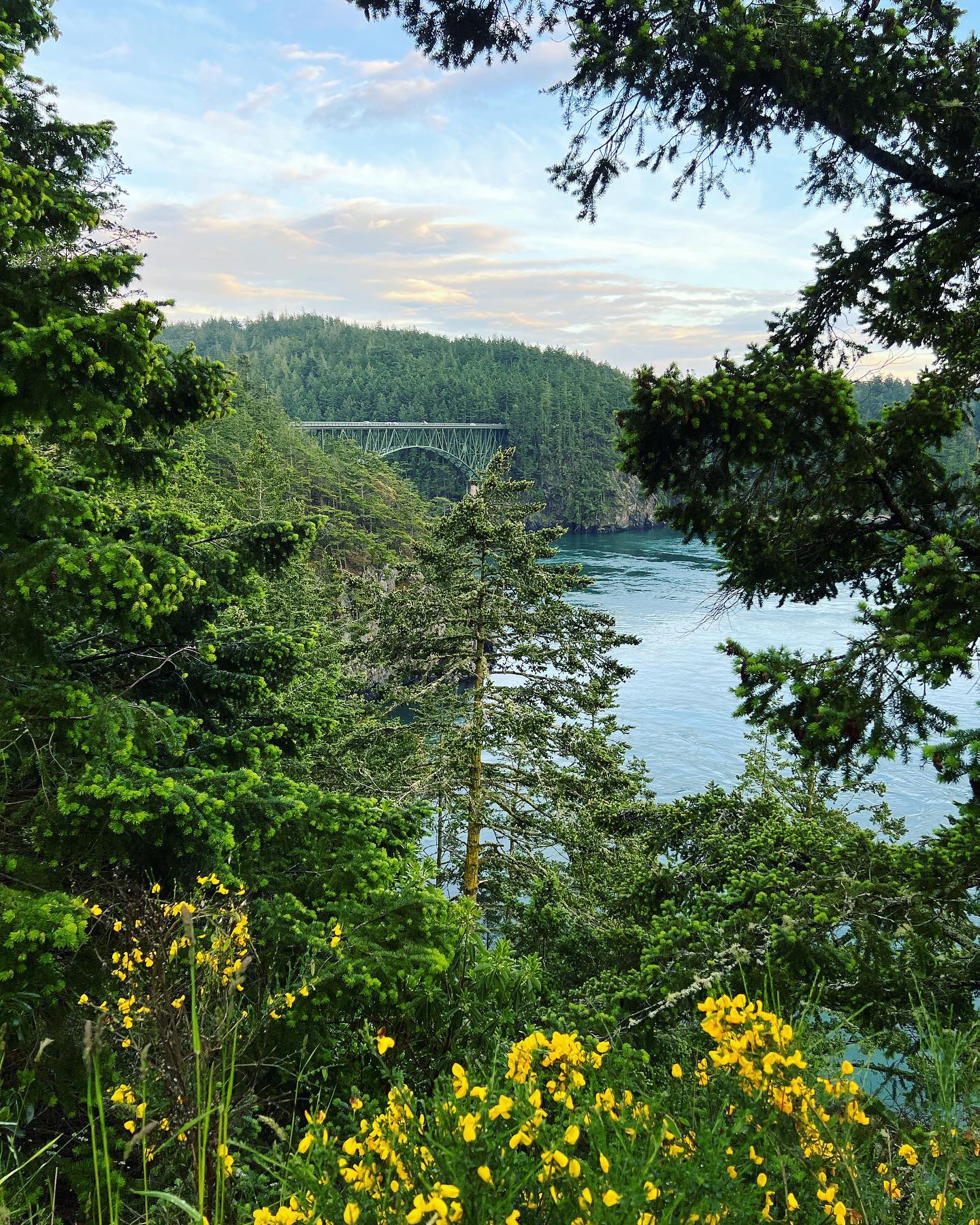 We’re back from our road trip! We saw so many beautiful things so be prepared for a photo dump over time 😉 Our journey started in beautiful Deception Pass state park in Washington, which is actually not far from where we live in BC at all.
.
.
#roadtrip #washingtonstate #oakharbor #deceptionpassstatepark #bridge #views #sunset #flowers #spring #pnw #pacific #camperlife #camper #campertrip #nature #crossing #bridge #washington #vancouver #statepark #camping #travel #instagood #reizen #rondreis #amerika #usa #reisfotografie #reistypje
