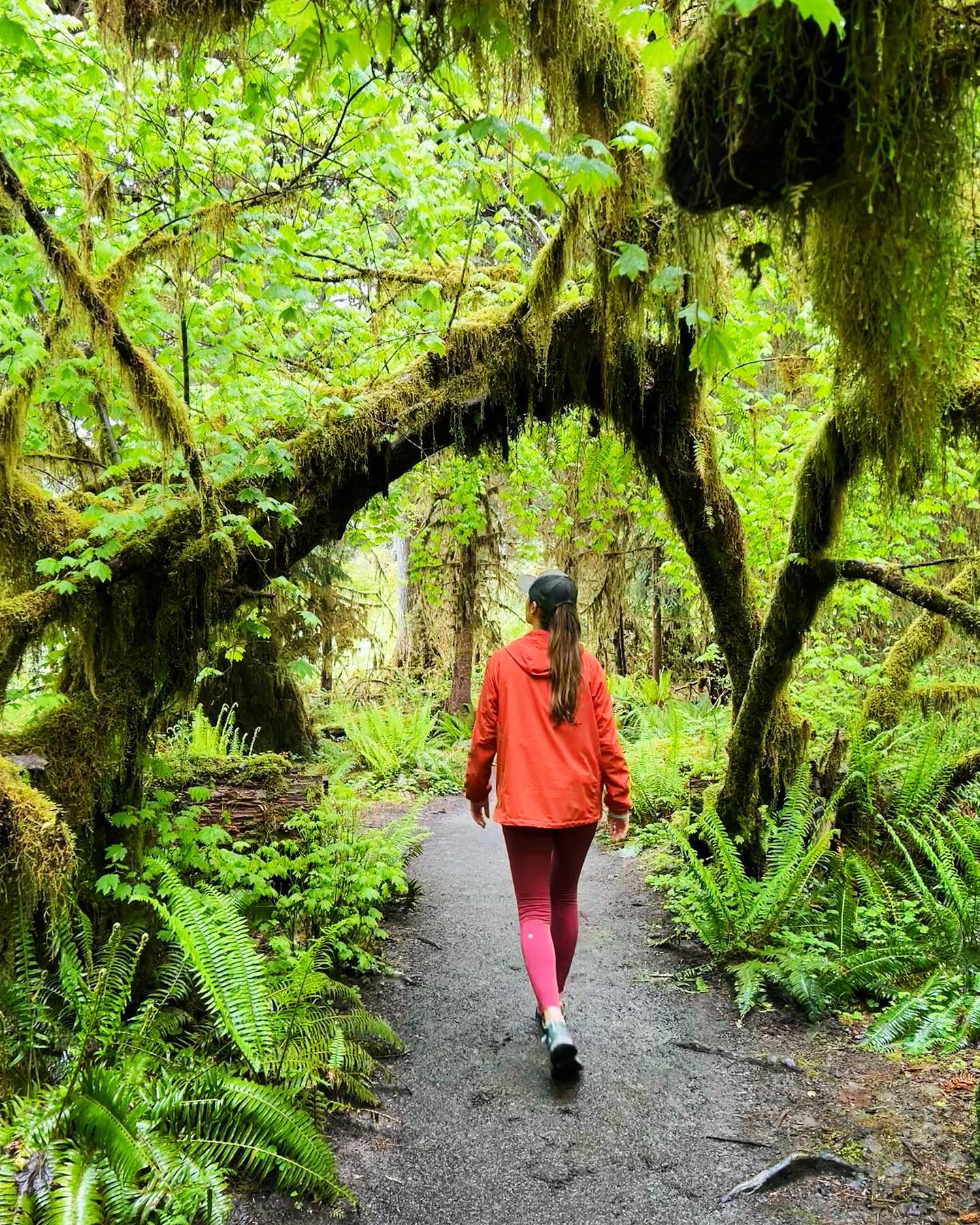 We had A LOT of rain during our road trip. But one place where that didn’t really matter, was the magical Hoh Rain Forest 🌿
.
.
#olympicnationalpark #washingtonstate #hohrainforest #rainforest #moss #nature #forest #naturelover #lushgreen #wanderlust #hike #walk #nationalpark #usa #naturephotography #travel #roadtrip #camping #camper #camperlust #woods #washington #usanature #reizen #rondreis #pnw #reisfotografie #natuur #reisbloggers #reistypje